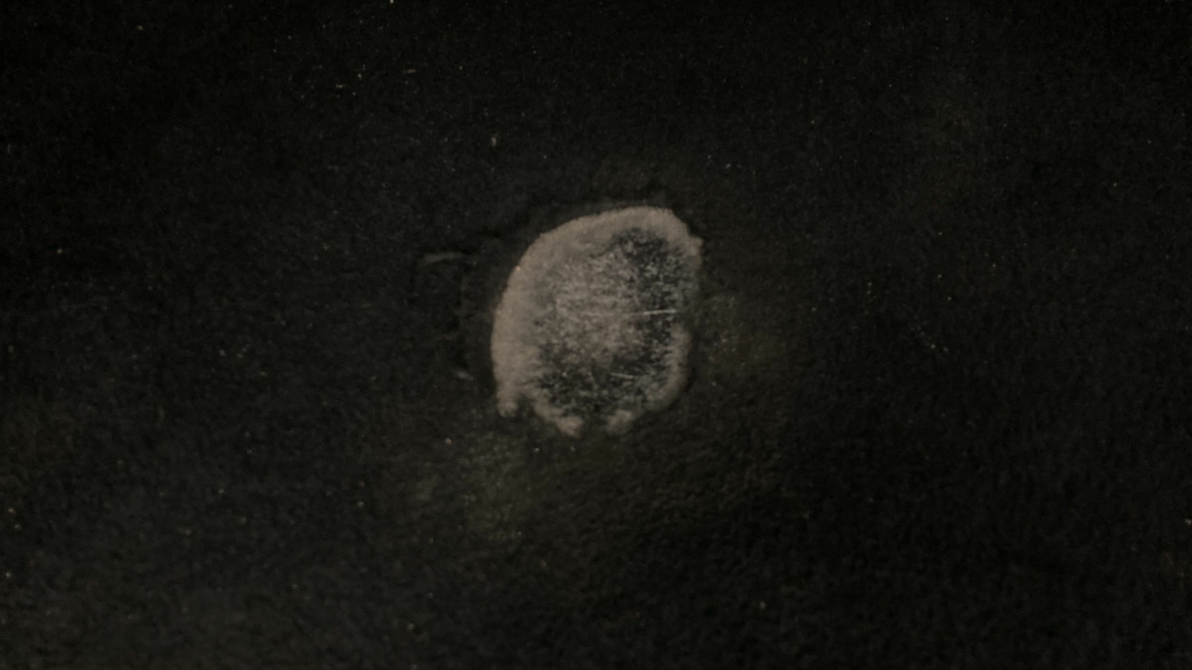 mg hs luxury 1.5 T-GDI 162 AT 2023 pebble black 31