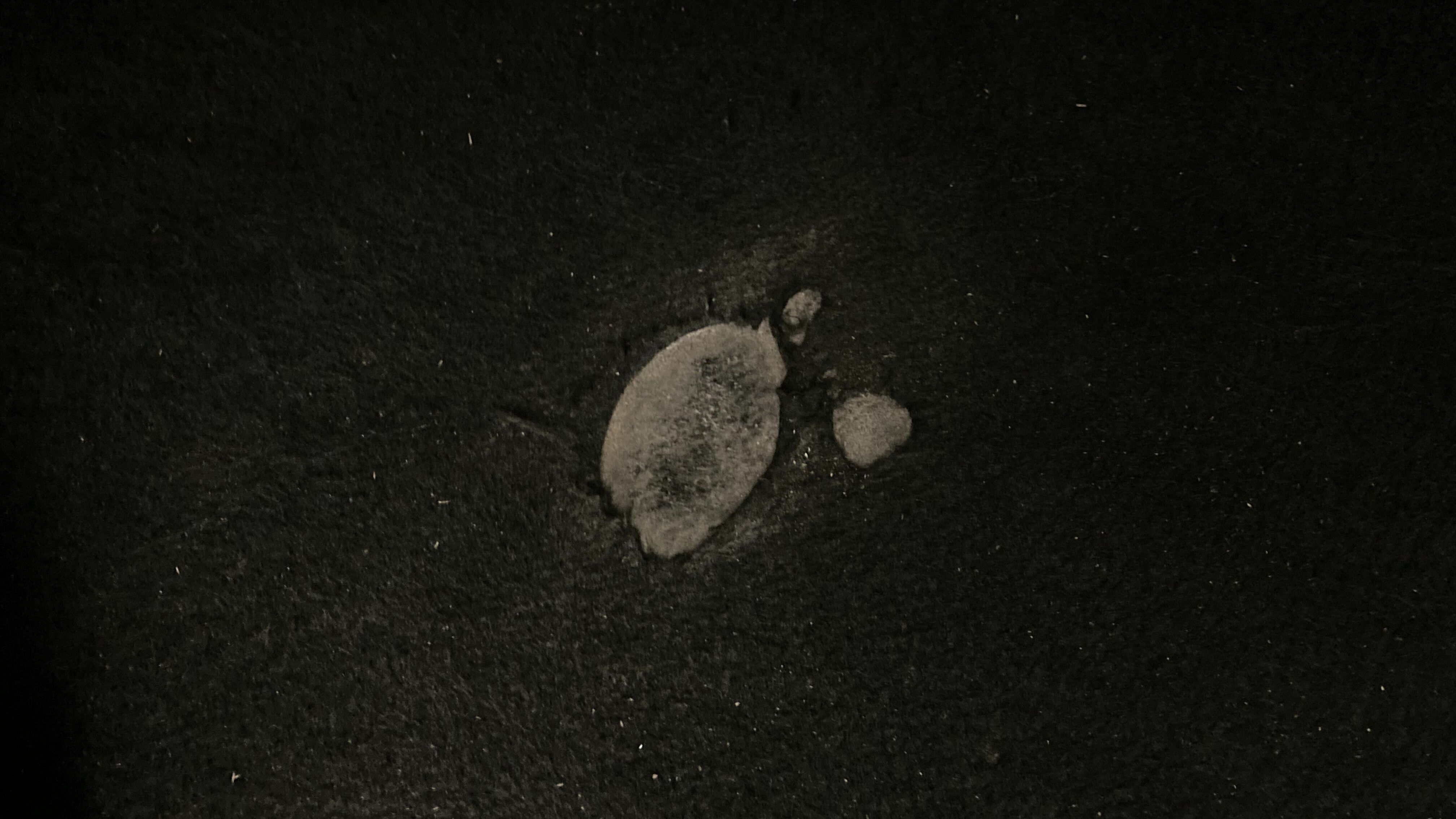 mg hs luxury 1.5 T-GDI 162 AT 2023 white 31