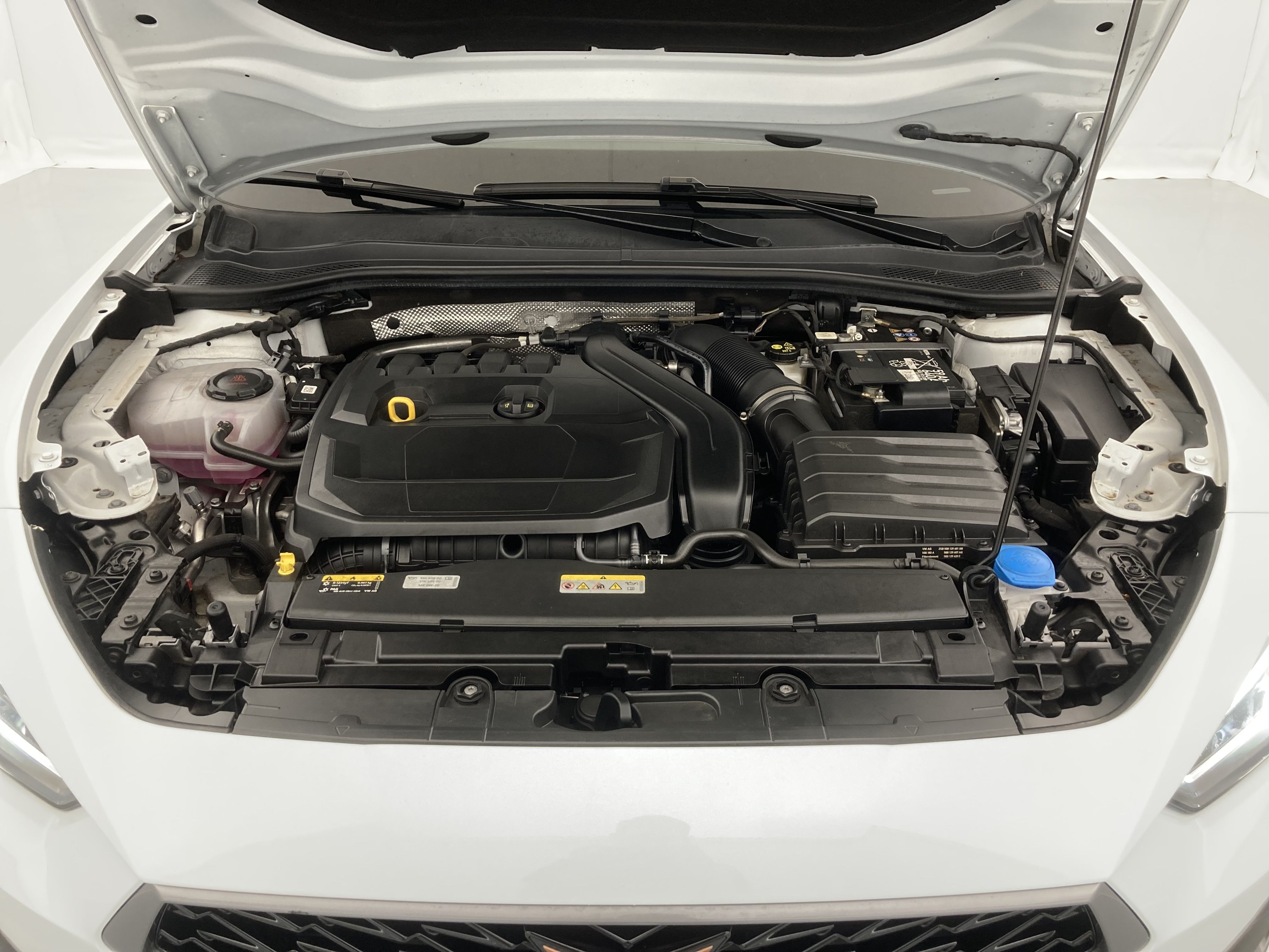 cupra leon nv 1.5 ETSI 150 DSG 2024 blanco nevada 25