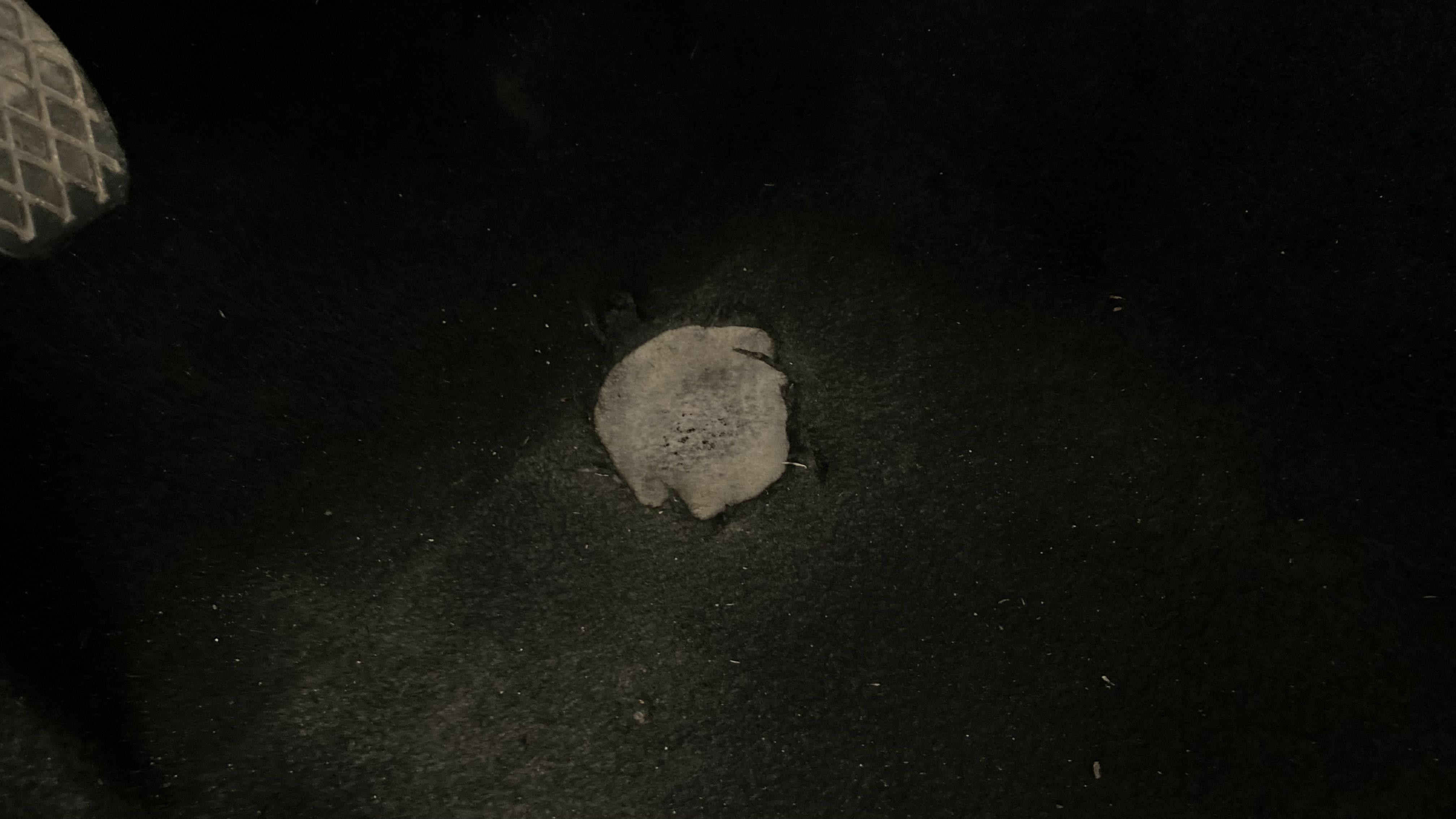 mg zs luxury 1.0 T-GDI 111 2023 pebble black 31